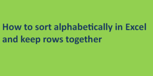 Sort Excel function