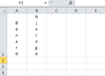 excel show text vertically