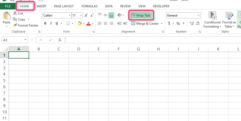 Writing two lines in one cell in Excel -Basic Excel Tutorial