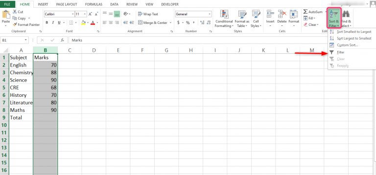 How to sum a filtered column in Excel | Basic Excel Tutorial