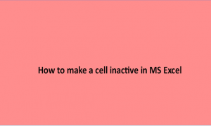 How to make a cell inactive in MS Excel