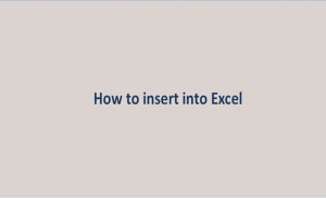 How to insert into Excel