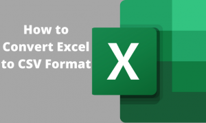 How to Convert Excel to CSV Format