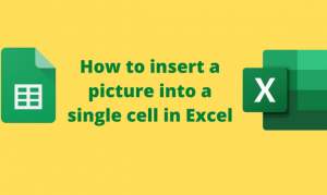 How to insert a picture into a single cell in Excel