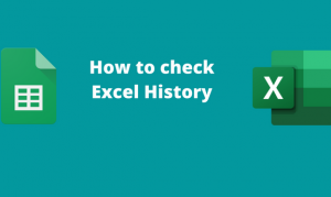 How to check Excel History