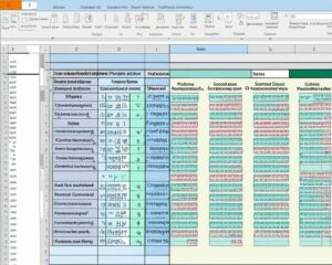 excel VBA code for autofilter